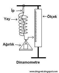 Dinamometrenin birimi nedir